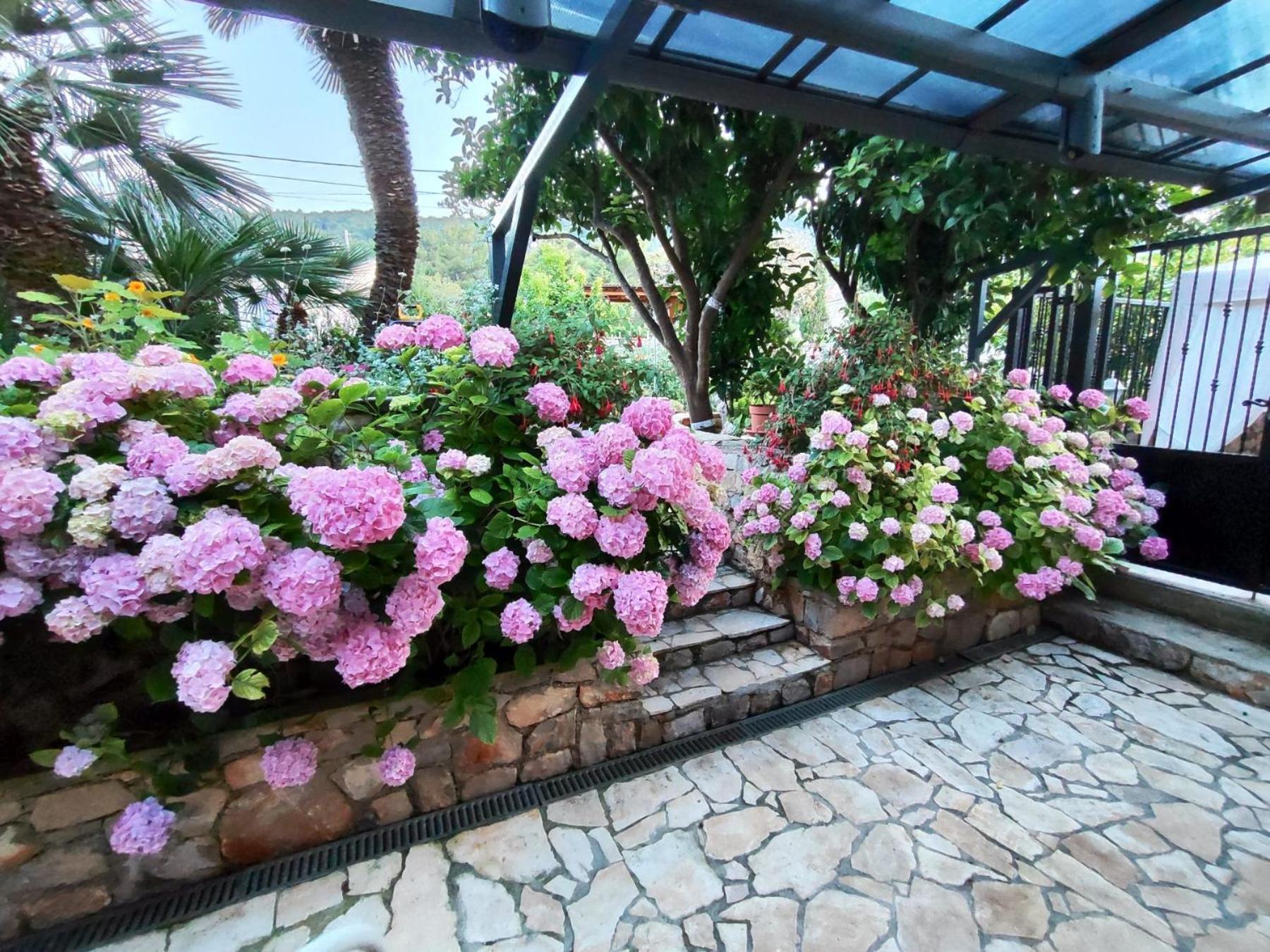 Vacation House Orange Велі-Лошинь Екстер'єр фото